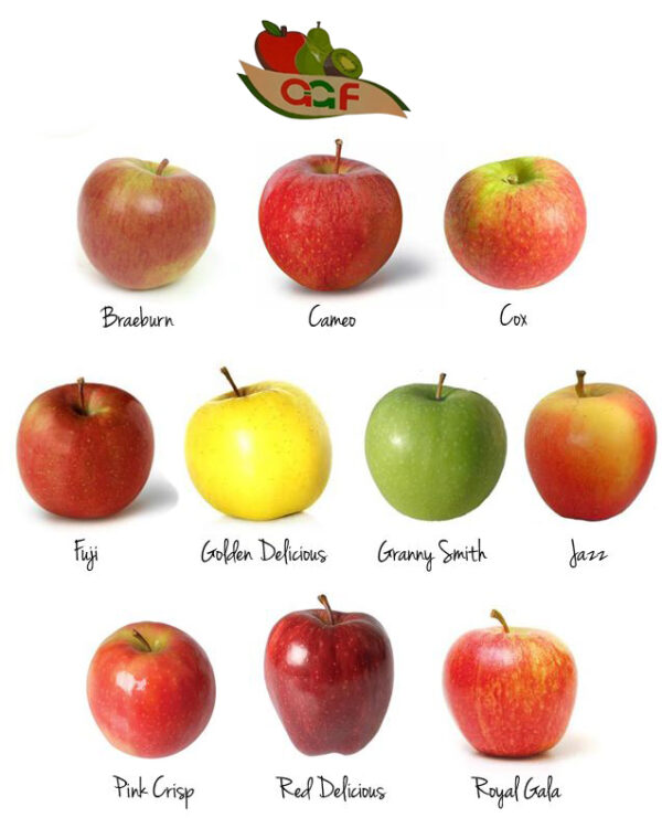 apple-type-list