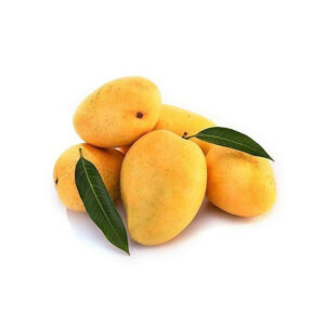 mango-safeda-india